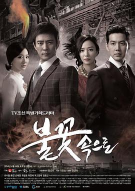 清远seo哪家不错